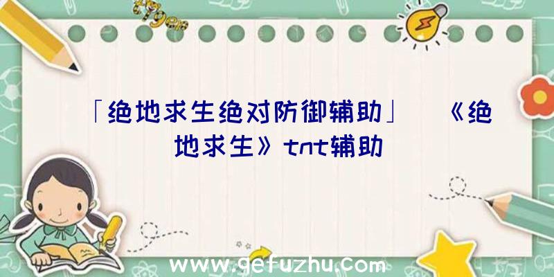 「绝地求生绝对防御辅助」|《绝地求生》tnt辅助